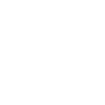Divine Paladins